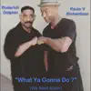 Roderick Dolphin & Kevin V Richardson - What Ya Gonna Do ? ( We Need Action) - Single